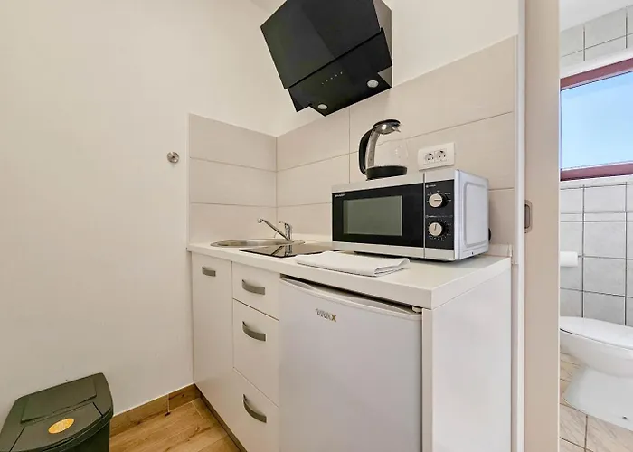 Flego 4 * Novigrad Istria